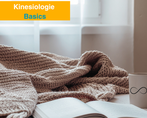 Kinsiologie Sitzung